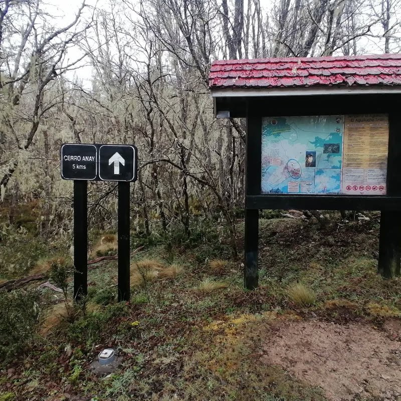 Señalética del sendero hacia Cerro Anay en un bosque cubierto de barba de viejo, Nahuelbuta