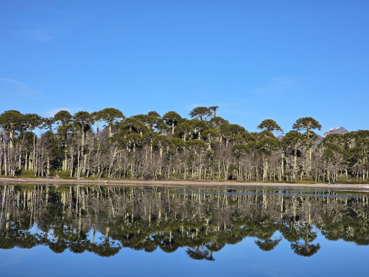 Laguna Cochor