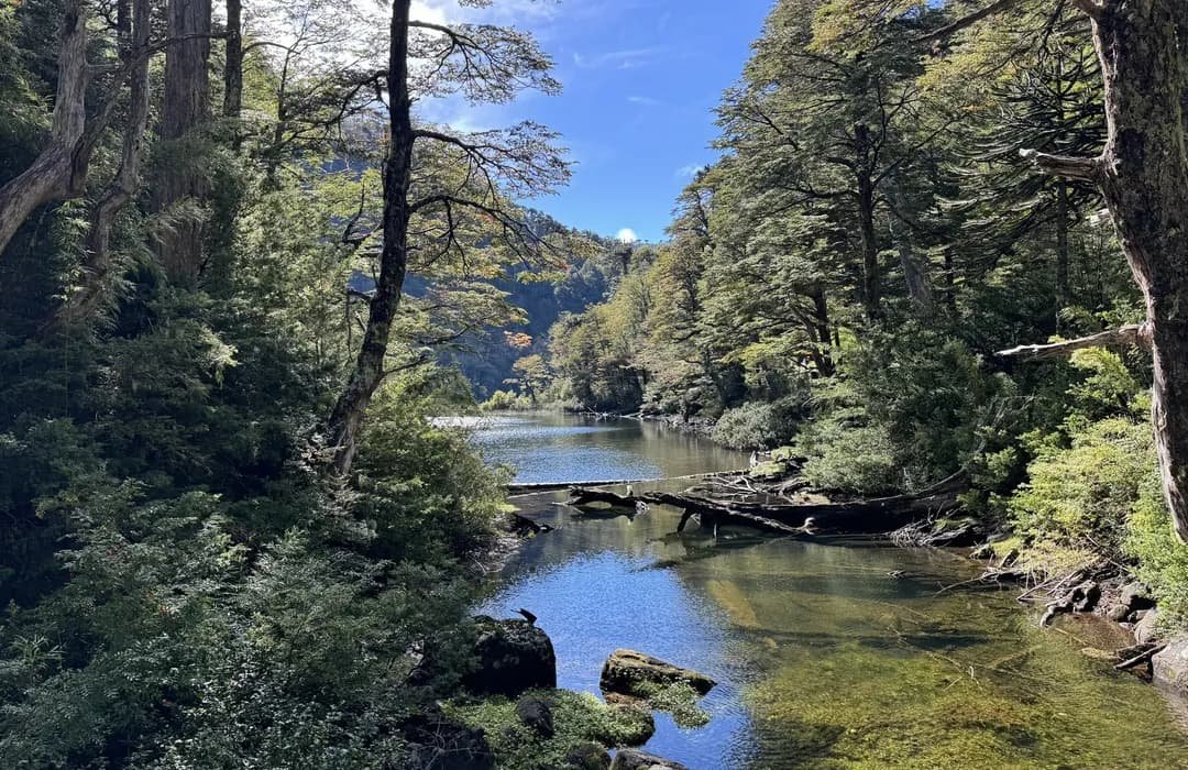 Parque Nacional Huerquehue
