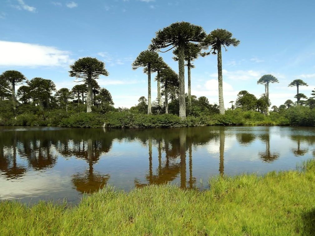 Parque Nacional Tolhuaca